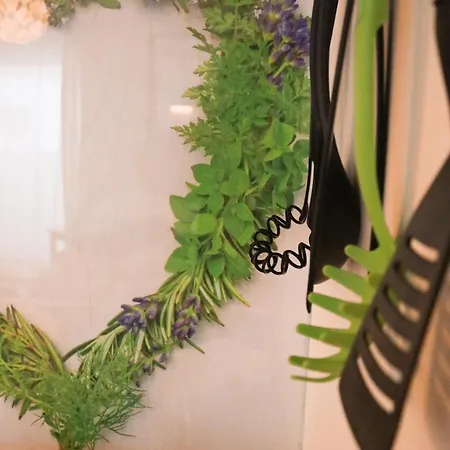 Schmitten 67 * ツェル アム ゼー